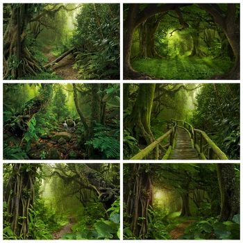 Фоны тропического леса, Весенние джунгли, Тропический лес, Зеленые листья, природные приключения, кемпинг, Фоновая фотография, Фотостудия